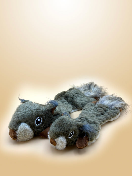 Eekhoorn speeltje